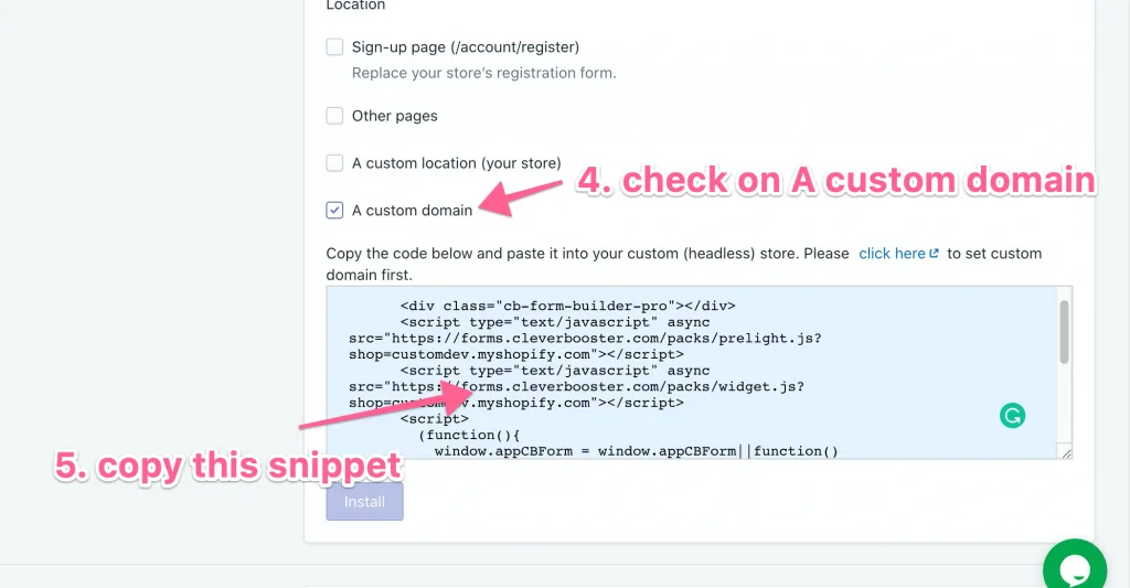 Installation settings with A custom domain selected and the embed snippet shown